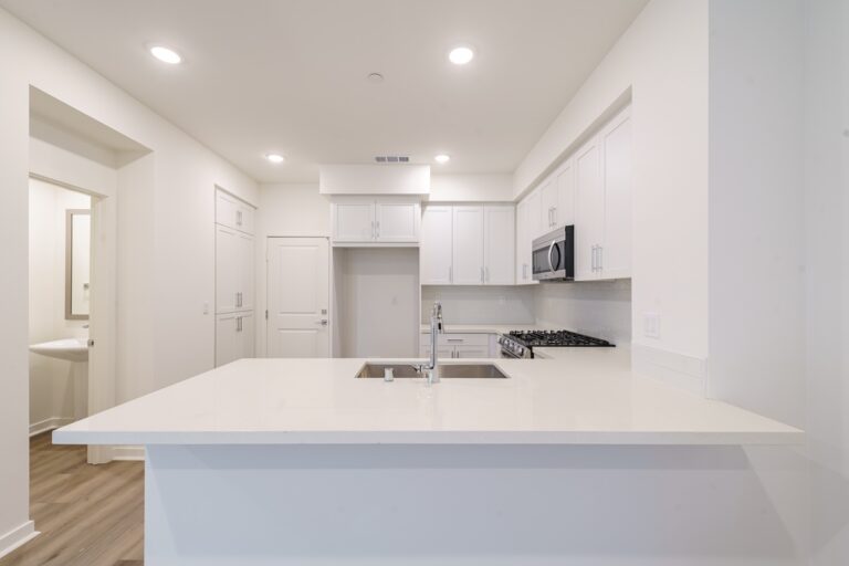 Community Gallery Image