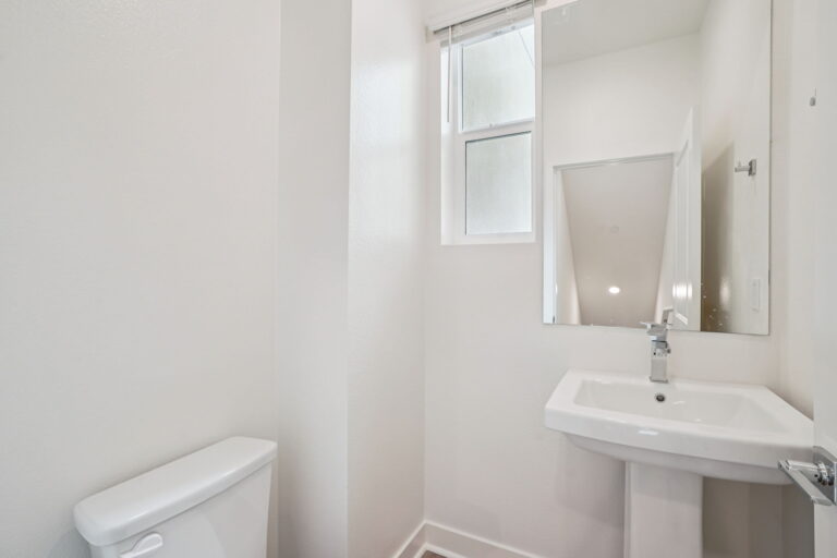 Community Gallery Image