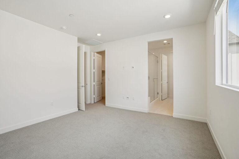 Community Gallery Image